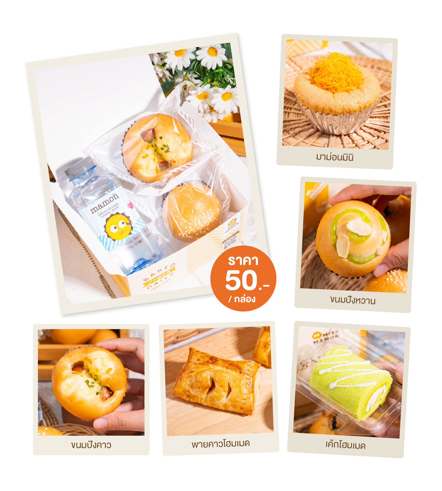 Snack Box ชุดพิเศษ 50 บาท